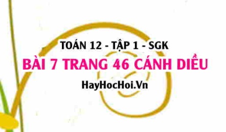Bài 7 trang 46 Toán 12 tập 1 Cánh Diều